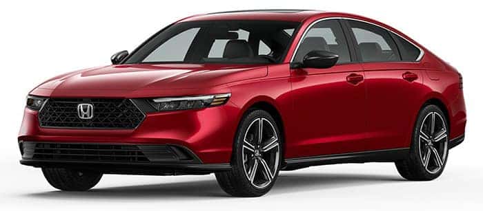 Sport-L Hybrid