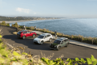 rav4 trim levels