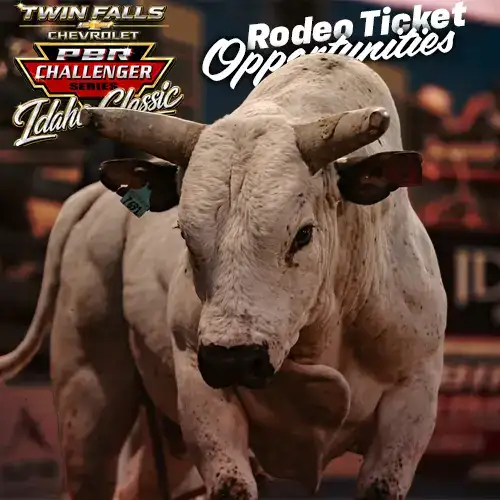 3 Ways To Get PBR Tickets
