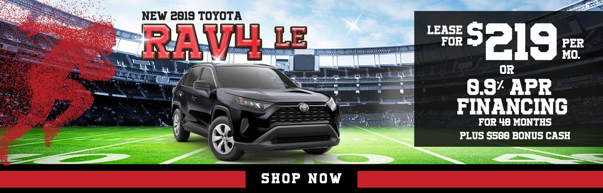 2019 Rav4 LE